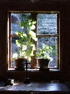 关于窗口期勒沃库森调整名单以备荷甲,官宣签约环节打磨,管理层满意,医务组通报恢复的信息-开云在线